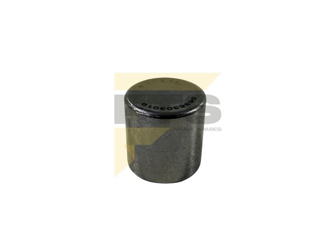 Imagem do produto ROLAMENTO AGULHA TRAMBULADOR ZF (VARIOS) - Cód: FAP-12801